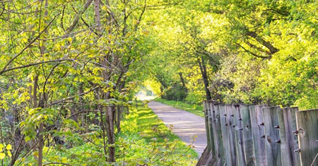 red wing bike trail