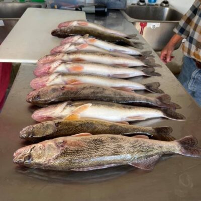 Evert's Resort line up of fish in fish shack