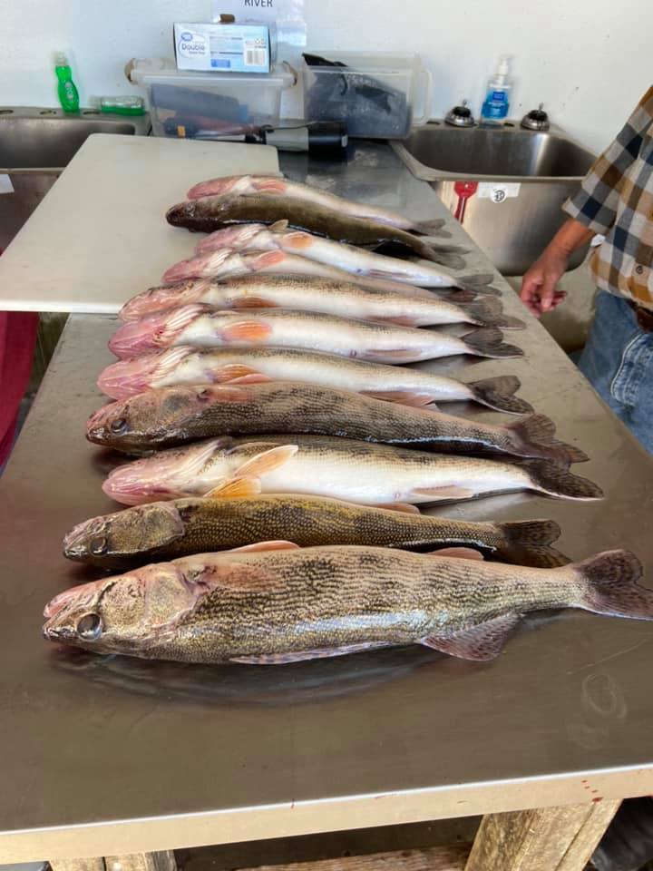 Evert's Resort line up of fish in fish shack